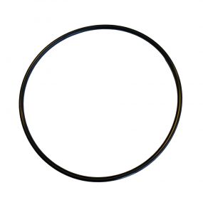 Watts 7300398 Housing O-Ring