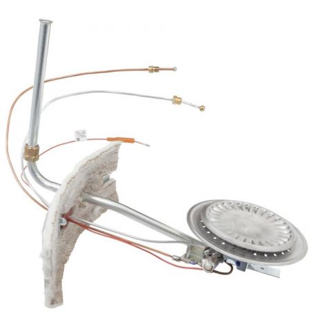 A.O. Smith 100109300 Burner Assembly LP