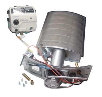 A.O. Smith 100342836 Gas Valve and Burner Assembly