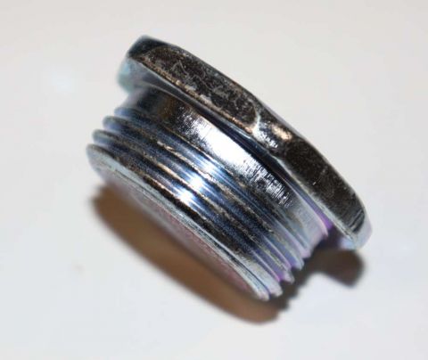 Bradford White 223-34020-00 Element Plug