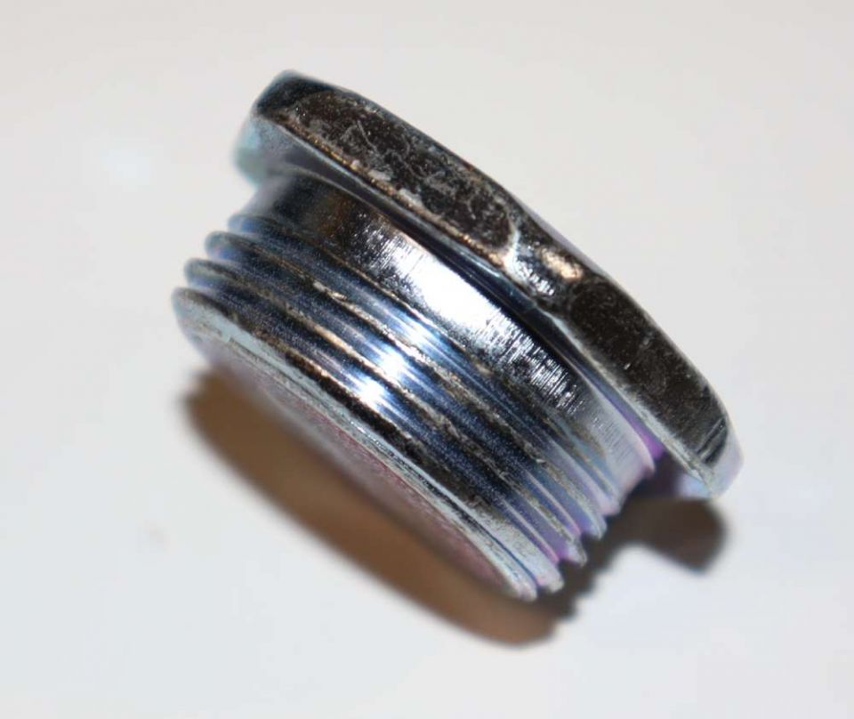 Bradford White 223-34020-00 Element Plug