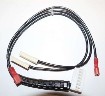 Bradford White 239-50066-00 Gas Valve Harness