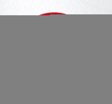 Navien 20007016A Strainer O-Ring