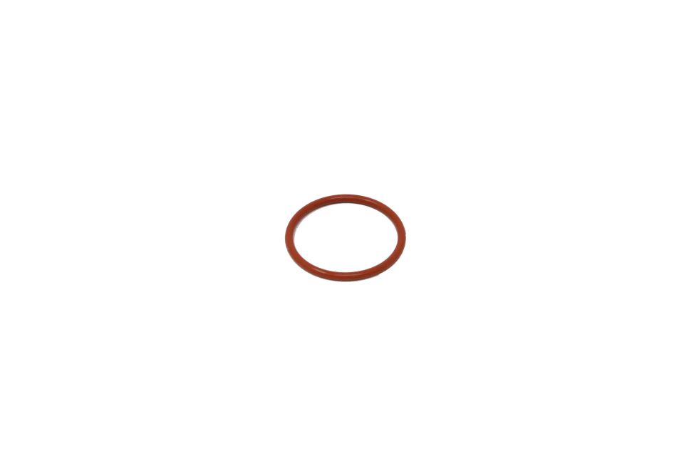 Noritz SAB4190 O-Ring - Water Filter