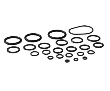Rheem RTG20206 O-Ring Kit