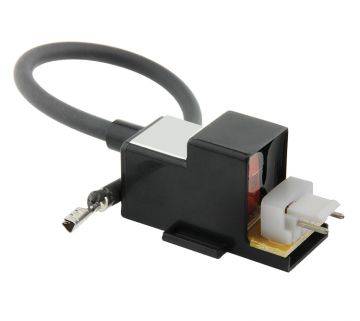 Rheem RTG20235C Ignitor Coil