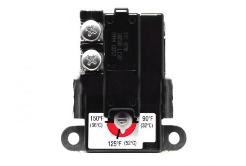 Rheem SP11695 Electric Thermostat