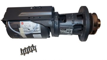 Raypak 004844F Pump Hi Delta 115V 4.25