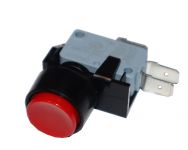 Raypak 005641F Alarm Reset Switch
