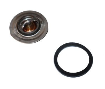 Raypak 006719F Unitherm Governor