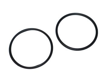 Raypak 006724F O-Ring Kit 2-Pack