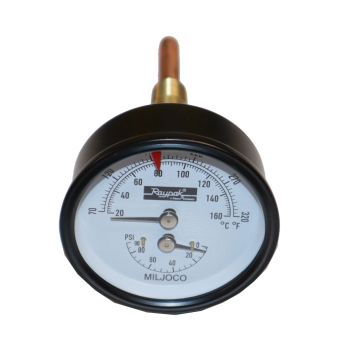 Raypak 007205F Temperature & Pressure Gauge