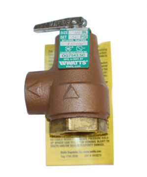 Raypak 007220F Pressure Relief Valve 3/4 inch 45 PSI