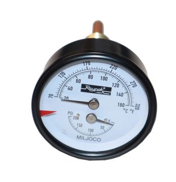Raypak 007399F Temperature & Pressure Sensor