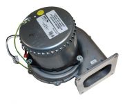 Raypak 012446F Combustion Blower