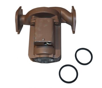 Raypak 012912F Pump Brass 115V SS