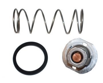 Raypak 062234B Unitherm Governor